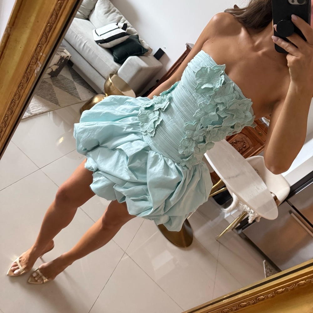 Aje Splendour Mini Dress - Picture 2 of 14